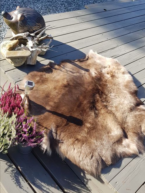 Hovedbilde Reinskinn i norsk kvalitet - fra stor kalv