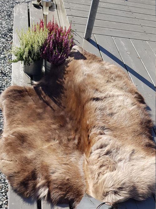 Hovedbilde Reinskinn i norsk kvalitet - fra stor kalv