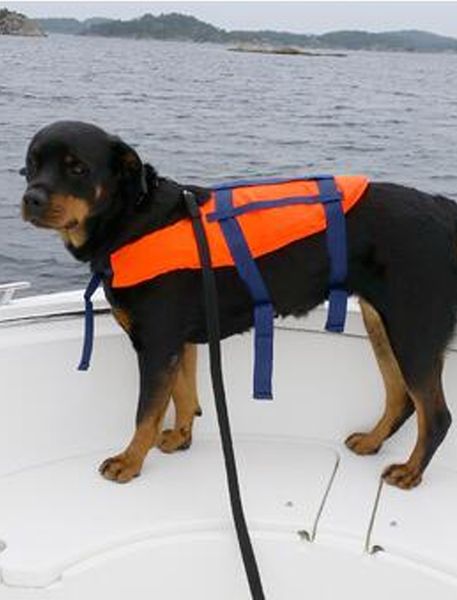 Hovedbilde Redningsvest for hund - Fra 3-40 kg